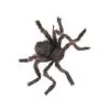 Spirit Halloween 20 Inch Hairy Spider