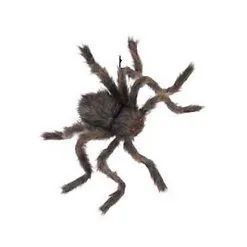 Spirit Halloween 20 Inch Hairy Spider