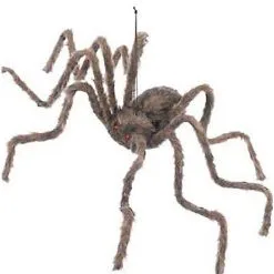Spirit Halloween 50 Inch Hairy Spider