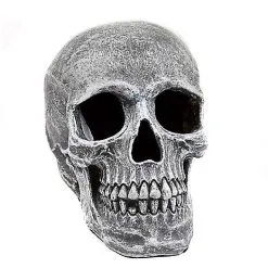 Spirit Halloween Large Realistic Skull Prop