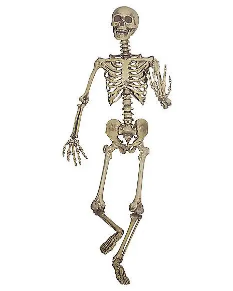 Spirit Halloween 5 Ft Hanging Skeleton Decoration 1 Spirit Halloween 5 Ft Hanging Skeleton Decoration