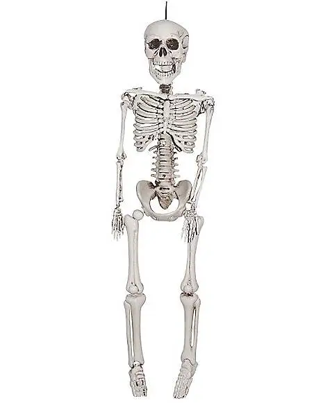 Spirit Halloween 3 Ft Plastic Skeleton 1 Spirit Halloween 3 Ft Plastic Skeleton