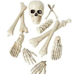 Spirit Halloween Bag Of Bones