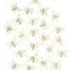 Spirit Halloween Glow In The Dark Spiders - 24 Pack