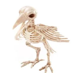 Spirit Halloween Skeleton Crow