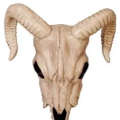 Spirit Halloween Ram Skull Decoration