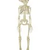 Spirit Halloween 20 Inch Two-Headed Skeleton