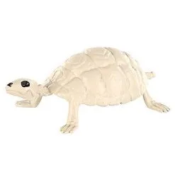 Spirit Halloween Skeleton Turtle - Decorations