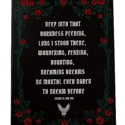 Spirit Halloween Edgar Allen Poe Poem Sign