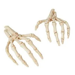 Spirit Halloween Skeleton Hands