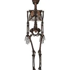 Spirit Halloween Moss Skeleton -Costume Decor Hub 01477140 c