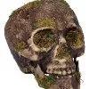 Spirit Halloween Moss Skull
