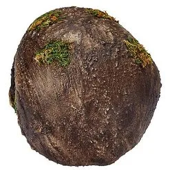 Spirit Halloween Moss Skull -Costume Decor Hub 01477157 c