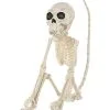 Spirit Halloween Monkey Skeleton