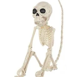 Spirit Halloween Monkey Skeleton