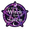 Spirit Halloween Not Every Witch Lives In Salem Magnet