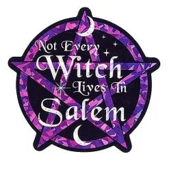 Spirit Halloween Not Every Witch Lives In Salem Magnet