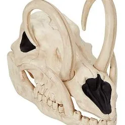Spirit Halloween Boar Skull -Costume Decor Hub 01528785 a