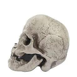 Spirit Halloween Mutant Skull -Costume Decor Hub 01528868 d