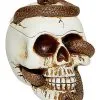 Spirit Halloween Snake Skull Box