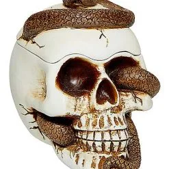Spirit Halloween Snake Skull Box
