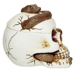 Spirit Halloween Snake Skull Box -Costume Decor Hub 01530286 d