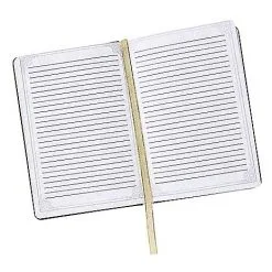 Spirit Halloween Gothic Noir Skull Journal -Costume Decor Hub 01540152 c