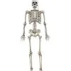 Spirit Halloween 5 Ft. Digieye Hanging Skeleton Decoration