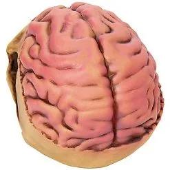 Spirit Halloween Skull With Brain Decoration -Costume Decor Hub 01573070 c