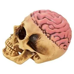 Spirit Halloween Skull With Brain Decoration -Costume Decor Hub 01573070 d