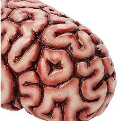 Costume Decor Hub 4 Costume Decor Hub -Costume Decor Hub 01588334 b