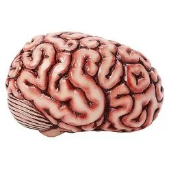 Spirit Halloween Brain Prop -Costume Decor Hub 01588334 c