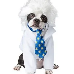 Spirit Halloween Einstein Pet Costume