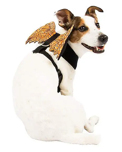 Spirit Halloween Orange Web Wings Pet Harness 1 Spirit Halloween Orange Web Wings Pet Harness