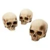 Spirit Halloween Jawless Skull Set - 3 Pack