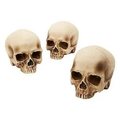 Spirit Halloween Jawless Skull Set - 3 Pack
